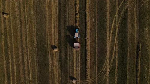Aerial Top Down View of the Tractor is Working on Wheat Field with Haystacks