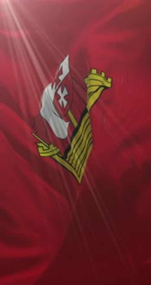 Dynamic Waving Flag with Emblem Vertical Loop Animation