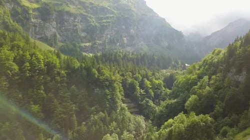 right to left pan over the forest in the Swiss alps