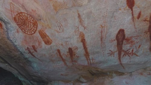 Prehistoric Primitive Cave Art Red Painting of Lizard on Wall in Brazil