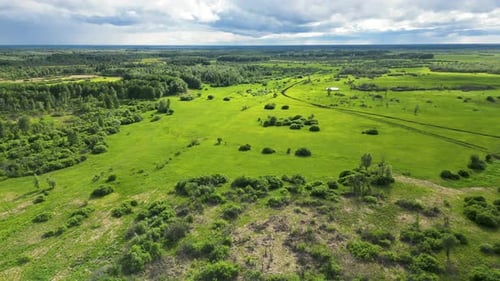 Aerial View of the Terrain Covered with Lush Green Vegetation Beautiful Landscape with Forests and