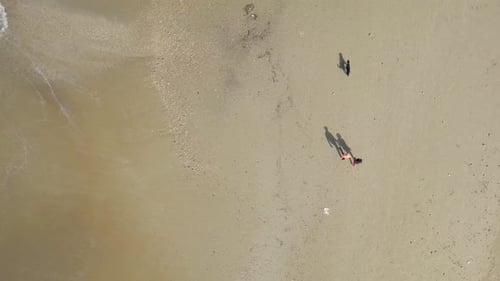 Two people and Two dogs walking on a sandy beach - Aerial follow footage.