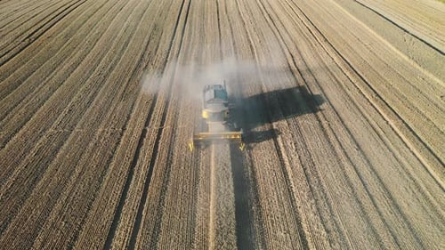 Aerial shot of drone flying above harvesting combine on the field at the sunny day