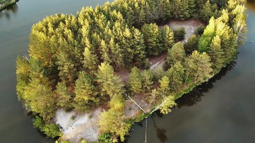 Aerial View of Small Island with Pine Trees in the Middle of the Lake