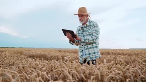 Senior Farmer Using Tablet in Wheat Field