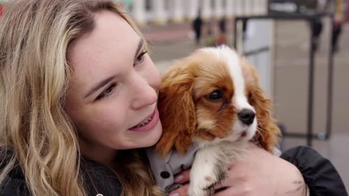 Woman Cuddling a Cavalier King Charles Spaniel Puppy