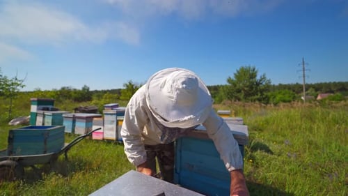 Beekeeper in protective hat. Apiarist inspects frame with bees and talks about their work