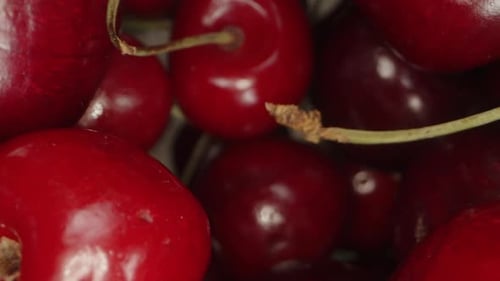 Pile of Fresh, Ripe Cherries, Close Up