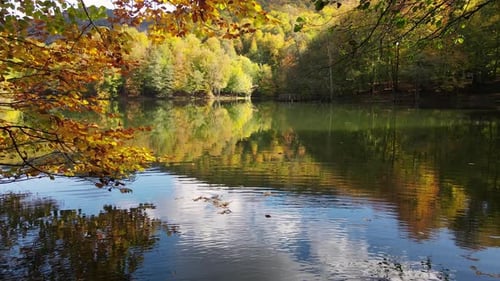 Lake In The Autumn Forest