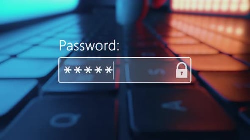 A User Enter a Password to Website Form Box in Internet Browser By Keyboard Hacker Hacking a
