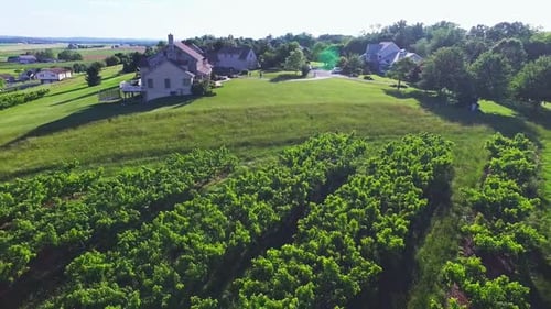 Family house on top of hill in rural Pennsylvania, aerial dolly shot revealing an orchard behind the