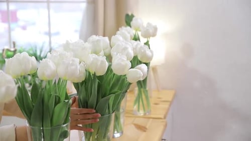 Elegant White Tulips Floral Arrangement in Bright Home
