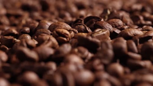 Roasted Brown Coffee Beans in Close Up Shot
