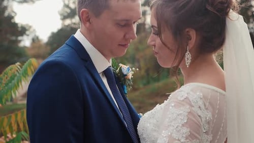 A Beautiful Bride in a Wedding Dress Hugs the Groom in a Suit