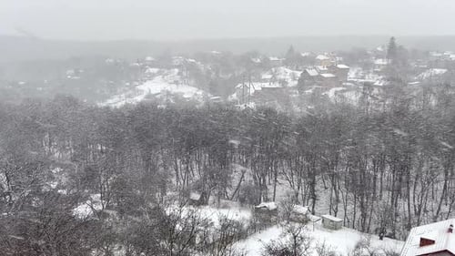 Snow blizzard against the background of trees in the forest and cottages.