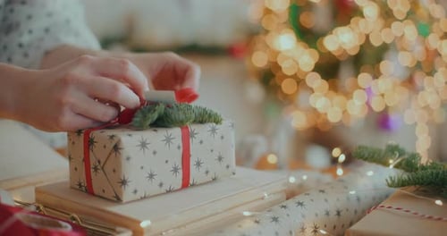Christmas Gift Decorated Xmas Holidays