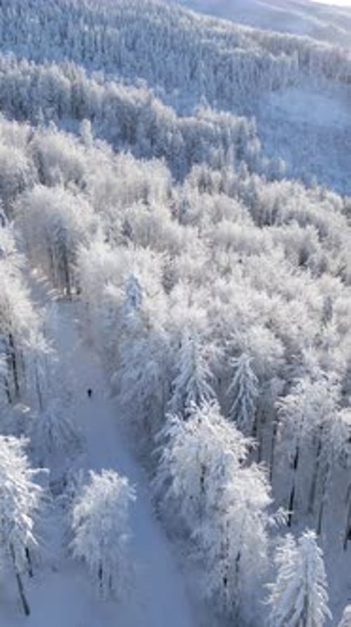 Aerial View of Man Walking in Snowy Mountain Forest