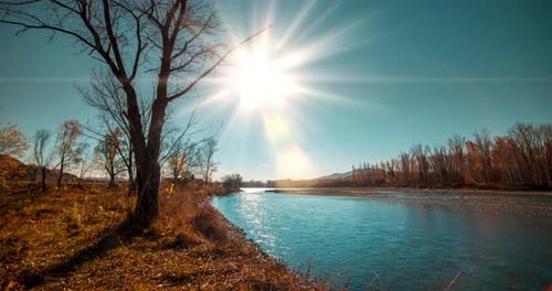Mountain River Timelapse at the Summer or Autumn Day Time Wild Nature Clear Blue Water and Dry Trees
