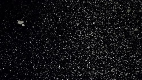 Arctic Collection: Snow flakes falling down very slowly and gently from the top side with the right