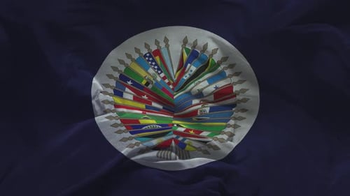 Realistic Waving Flag of the Organization of American States