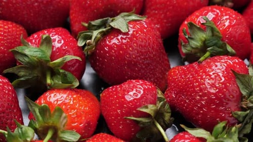 A Lot of Red and Ripe Strawberries Rotating