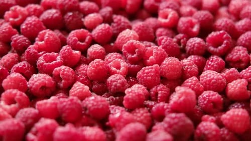 Vibrant Close Up of Pile of Red Raspberries