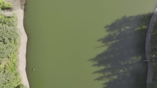 Flying Above The River An Aerial Shot With Docks And Forest Trees