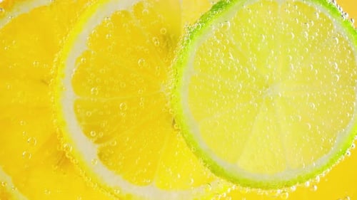 Refreshing Citrus Fruit Slices in Sparkling Water