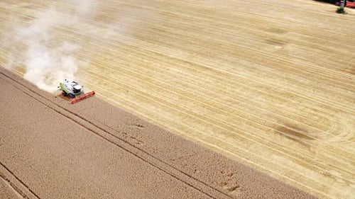Agriculture machine working on field at harvest season.