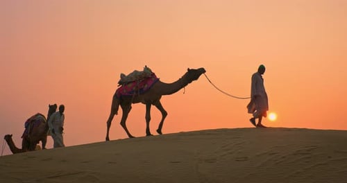 Indian Cameleers Camel Silhouettes in Dunes of Thar Desert on Sunset Jaisalmer Rajasthan India