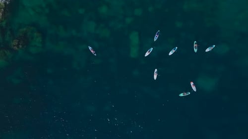 Aerial View Fun at a Beach With Crystal Waters People Swimming Sunbathing and Paddleboarding
