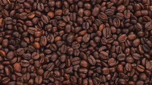 Roasted Coffee Beans Filling the Frame