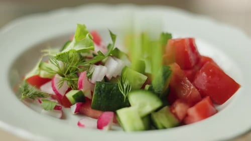 Fresh Vegetable Vegetarian Salad Organic Products From the Farm Healthy and Tasty Food