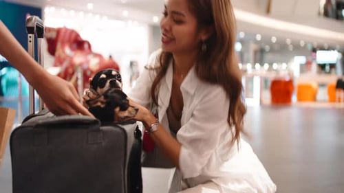 Asian Woman Petting Chihuahua in Carrier at Shopping Mall