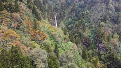 Herbstwald und Wasserfall