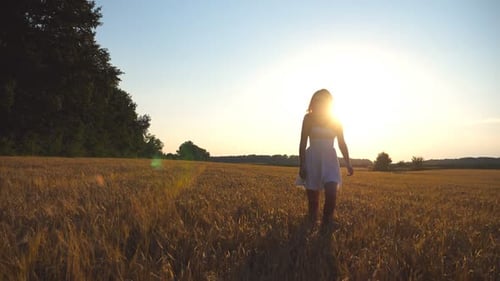 Beautiful Girl is Walking Along Wheat Field Under Blue Sky at Sunset Young Woman Going at the Meadow