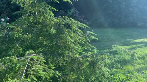 Woman Balancing Ball of Blow Pipe Toy As Analogy of Balance Life