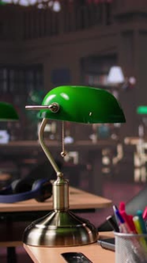 Vertical Video Empty Library with a Great Research Collection at a Higher Education School