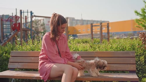 Young Woman Gently Grooming Dog Relaxed Woman Sitting On Bench With Her Dog In Park Casual Young