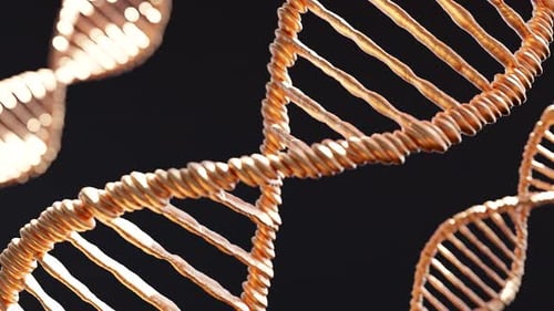 3D Animation of Gold DNA Strands Over Dark Background
