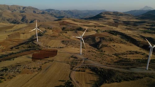 Wind Tribunes and Spectacular Nature Scenes