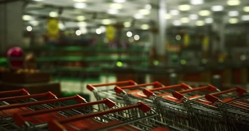 Shopping Carts Lined Up Inside a Grocery Store in a Bustling Marketplace