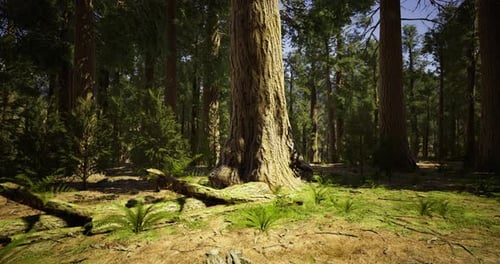 Majestic Old Tree Amid Lush Greenery in a Vibrant Forest Setting