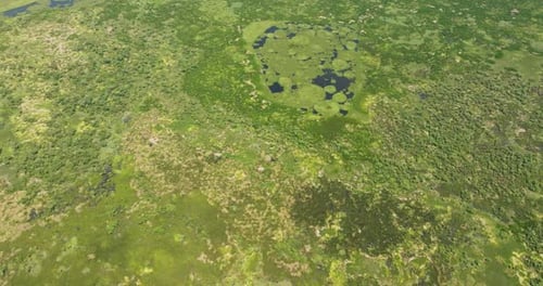 Agusan Marsh Wildlife Sanctuary in the Philippines