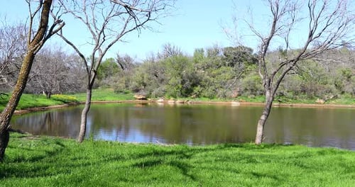 Static video of a scenic landscape on a pond in the wilderness.