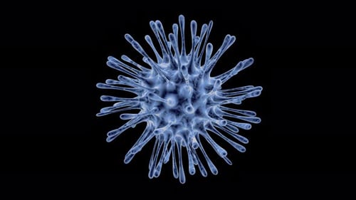 Viruses under microscope.Human immune system virus moving across screen.