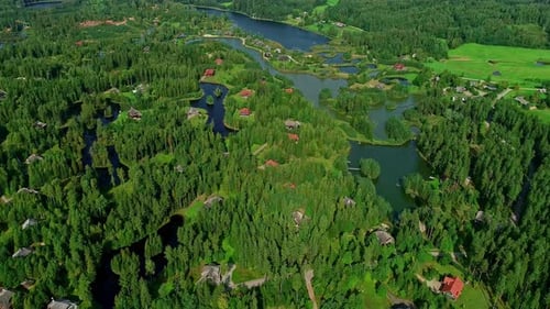 Aerial drone backward moving shot over ponds and houses surrounded by dense vegetation on a sunny da