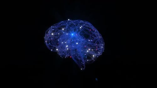 Digital Brain 3D
