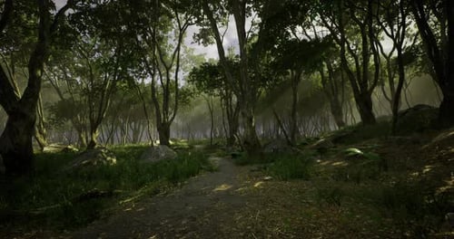 Enchanted Forest Path Winding Through Ancient Trees During Golden Hour