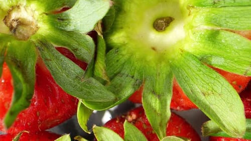 Das Makro-Video zeigt die faszinierenden Details einer Erdbeere